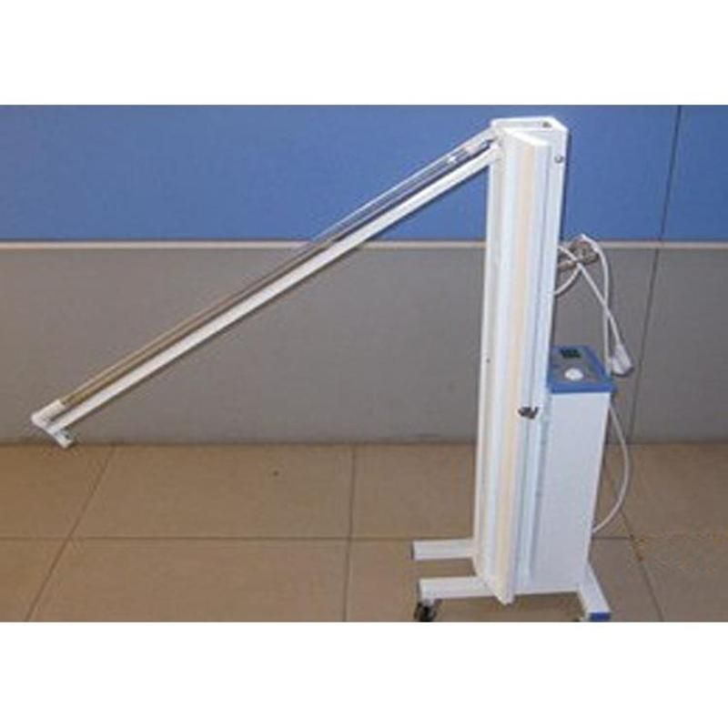 ������ɱ���Ƴ�