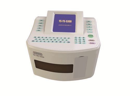 ���ܺ�ϸ��Ҷ������