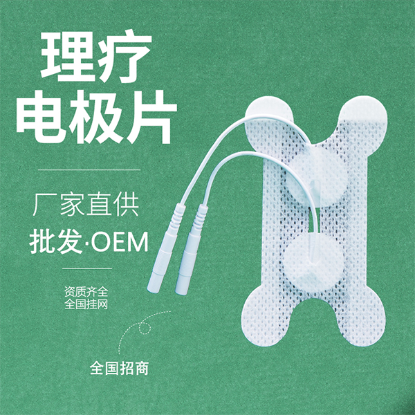 һ�������Ƶ缫Ƭ