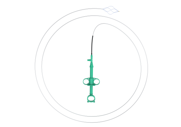 һ����ʹ��ȡʯ����ERCP �ڿ�������ȡʯ���� ��������ȡʯ����