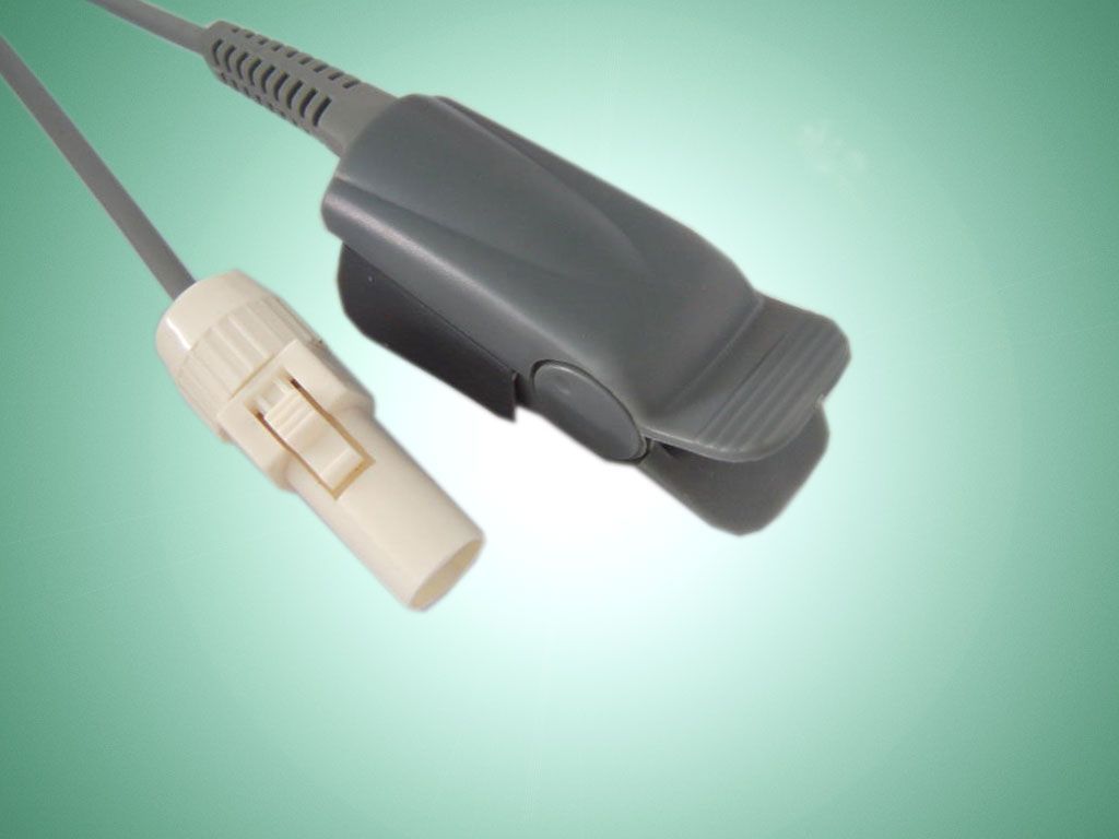 ����Ѫ��̽ͷ