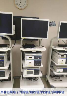 ���ְ�˹θ����ϵͳCV290