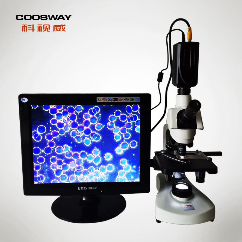 ��Ŀһ��Ѫ�����  CSW-32HB