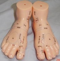 ��Ħ��ģ��