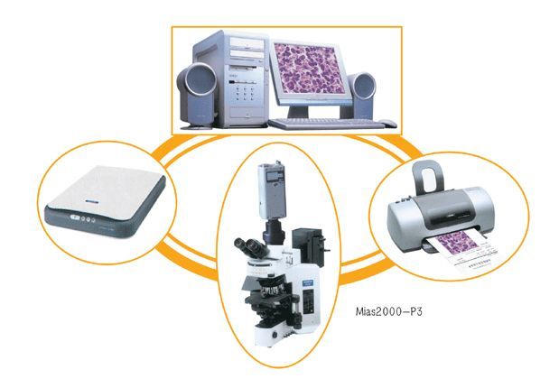 ��������վ