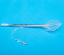 ��ǿ�͹轺����