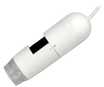 Ƥ�������ǣ����������