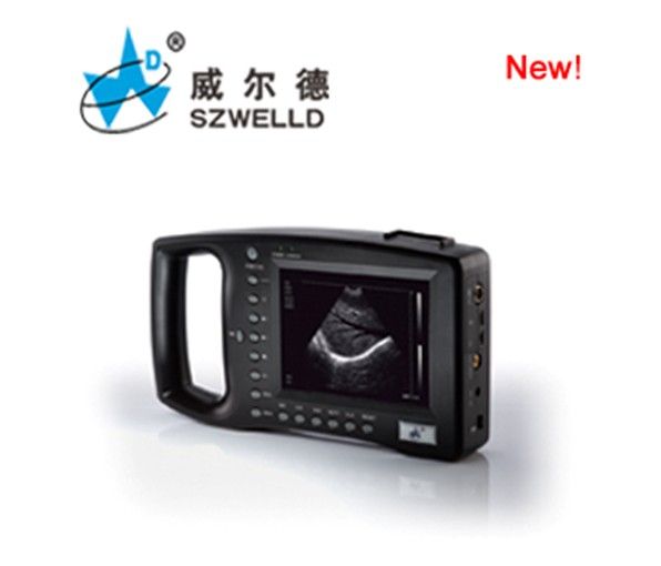 ����������b��