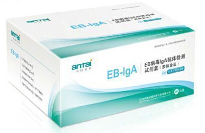 EB����lgA�������Լ��У�����𷨣�