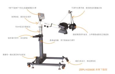 ����֫�������˶�������