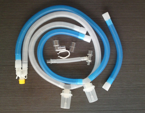 ����һ���Ժ�����·