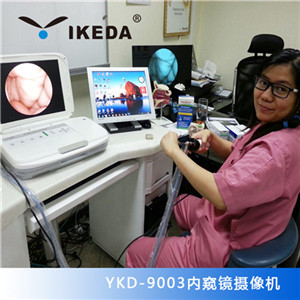 �ڿ��������