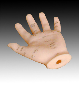 �����ģ��