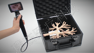 ֧����ģ��/֧���ܾ���ѵ/ѵ��ģ��