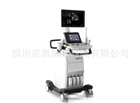 ��ɫ���������