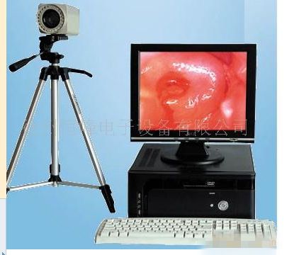 ��Яʽ����������