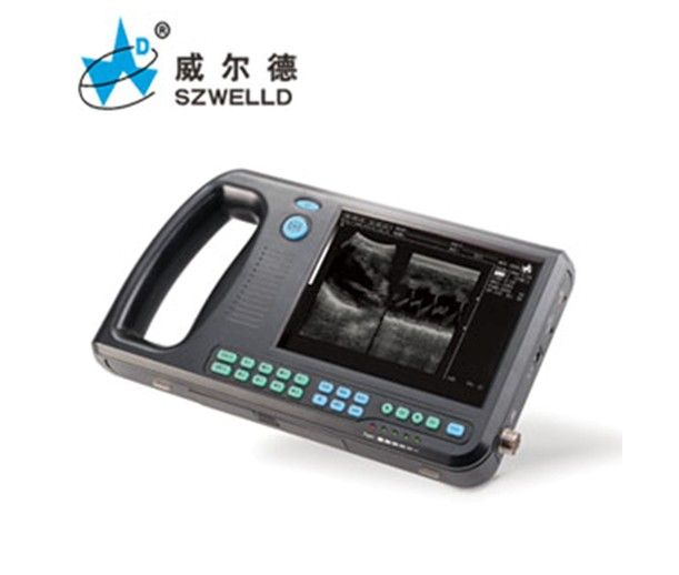 ȫ��������ʽb��