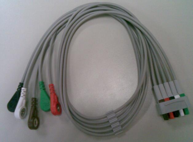 GE��ʽ�ĵ絼����