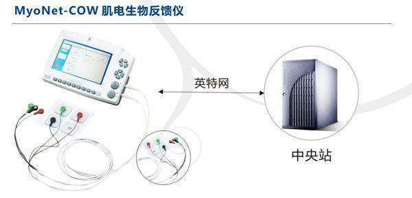 �������ﷴ����