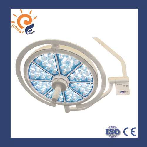 FL500 ������ ��Ӱ��