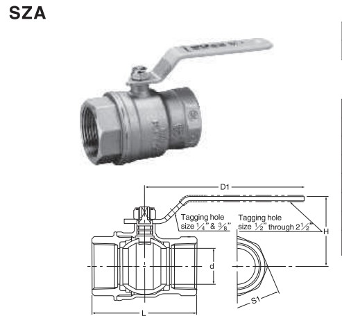 �ձ������ͭ��