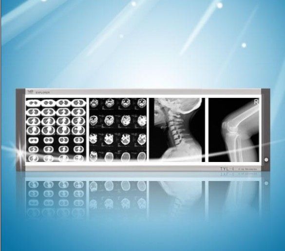 ������Ƭ��