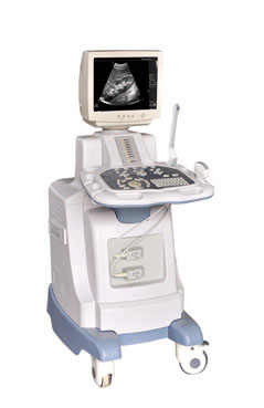 ȫ���ֻ����������