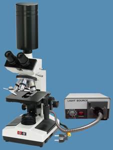 һ��Ѫ�����