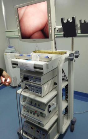 �ձ�ԭװOLYMPUS���ӵ��������ְ�˹CHF-V