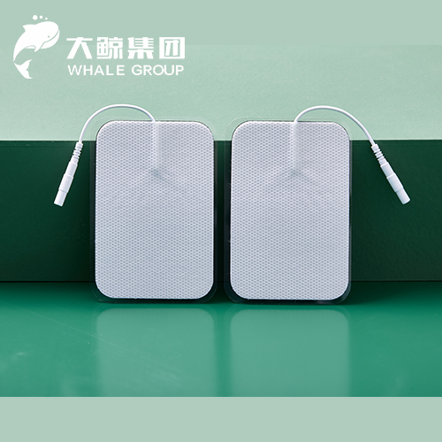 ���Ƶ缫Ƭ