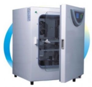 ������̼������