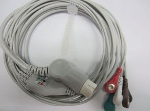 �ĵ絼����