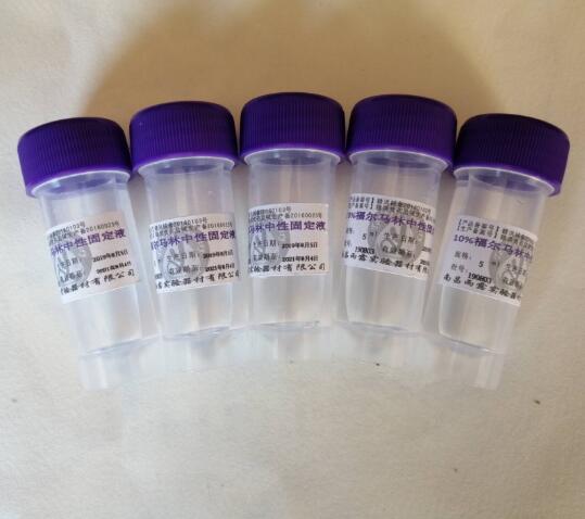 10%�����������Թ̶�Һ5ml/ƿ