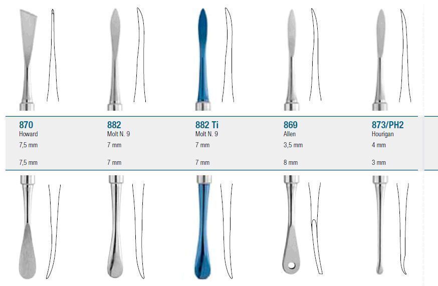 MEDESY��Ĥ������