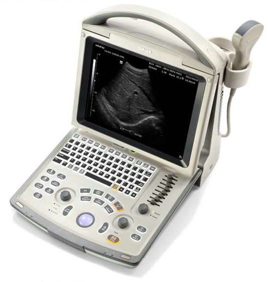 ����ڰ׳� ȫ���ֱ�Яʽ�������ϵͳ DP-30 ����ʽB����