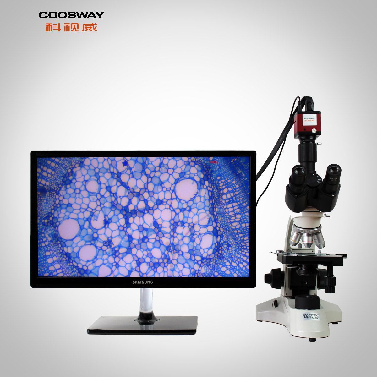 ����������΢�� ������΢��