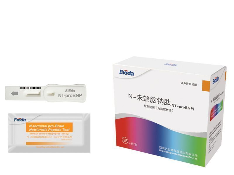 N-ĩ�������ģ�NT-proBNP������Լ������߲�������