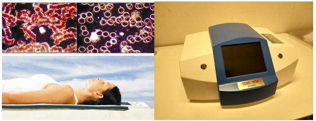 ά����Vitala����Ź������Ƽ���