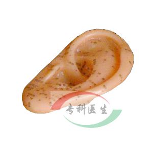 11cm�����ģ��