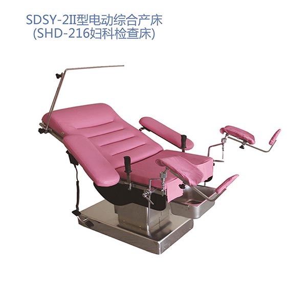 SDSY-2II�͵綯�ۺϲ���