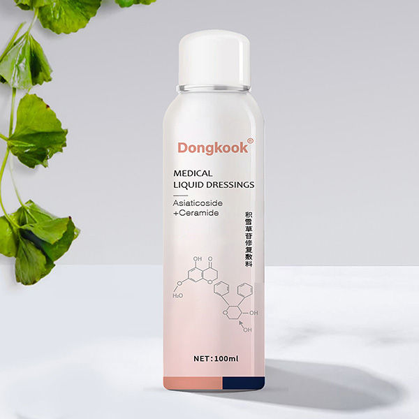 ������ѩ�����޸�����