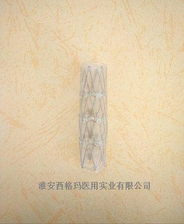 CZTS��Ĥ����֧��