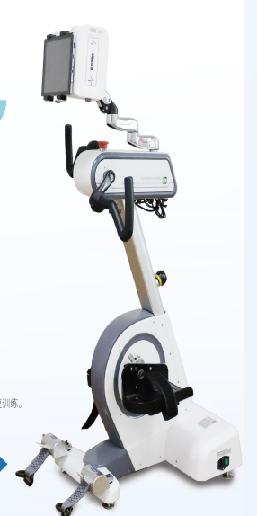 ֫���˶�������