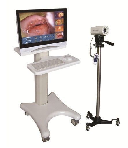 ������������������