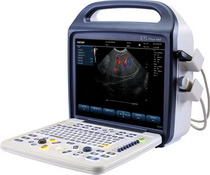 C5Plus vet���òʳ�