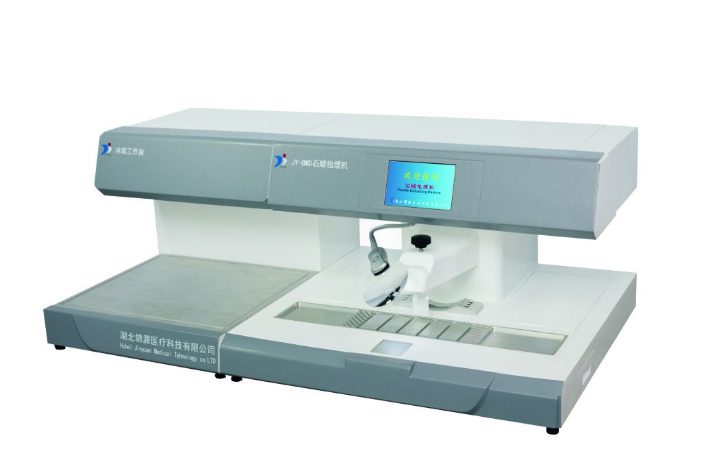 ʯ�������