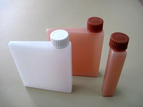 ������֬�����ϵ����Լ���