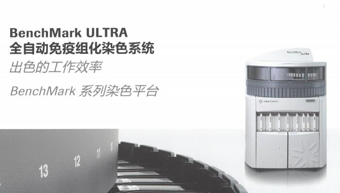 �������� ȫ�Զ������黯Ⱦɫϵͳ BenchMark ULTRA