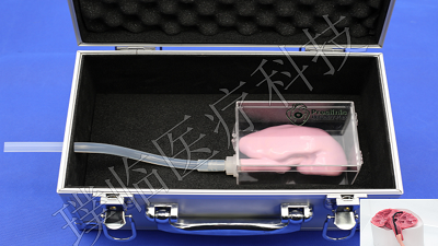 ��ģ��/����ܾ���ѵ/ѵ��ģ��