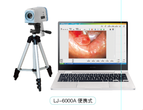 LJ-6000A�������������(��Яʽ��